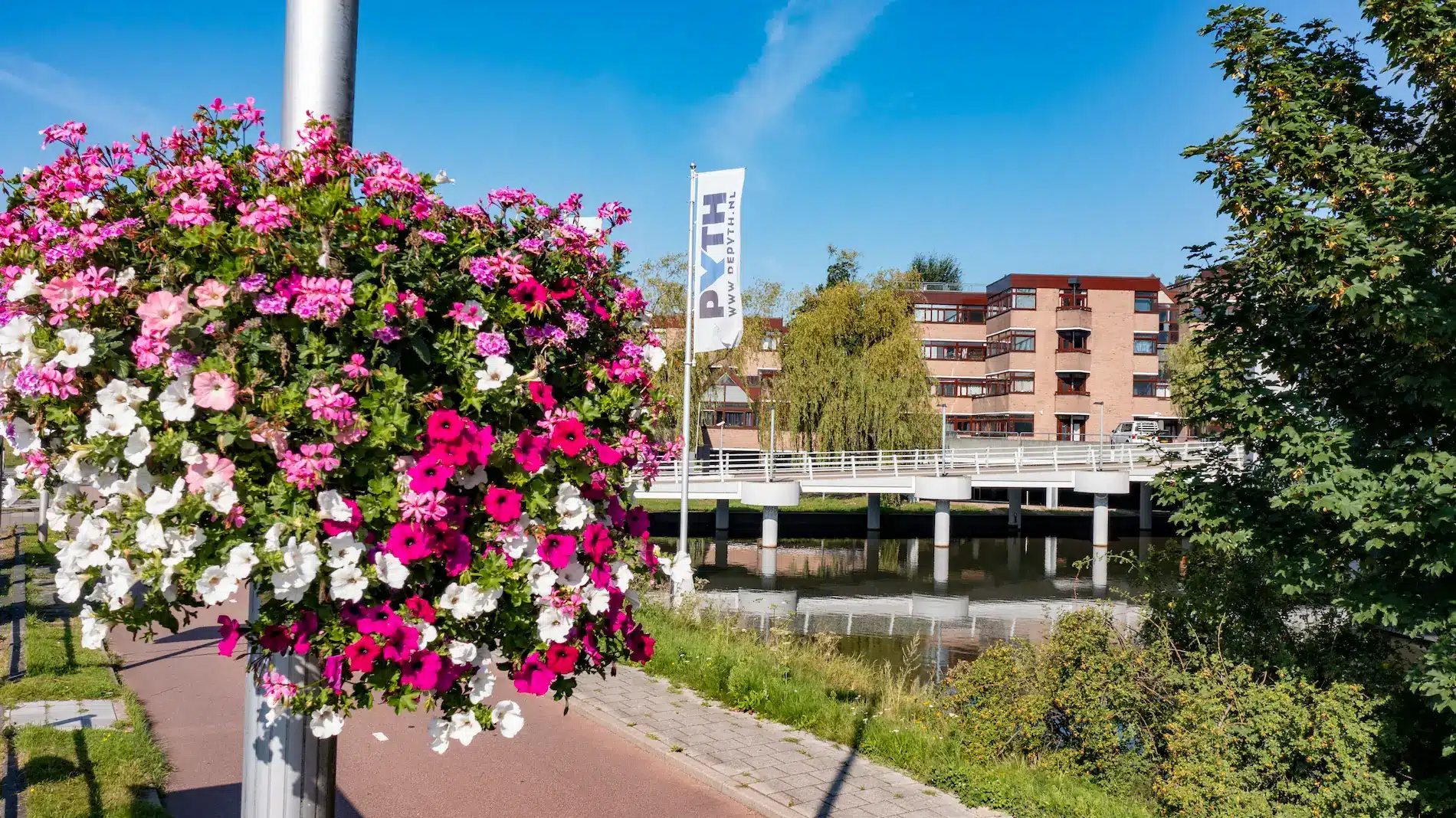 Oase-Lease-Hanging-Basket